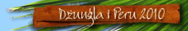 Dżungla i Peru 2010