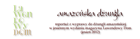 amazońska dżungla reportaż z wyprawy do dżungli amazońskiej w jesiennym wydaniu Lawendowego Domu, jesień 2012